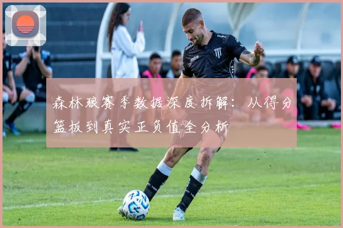 森林狼赛季数据深度拆解：从得分篮板到真实正负值全分析